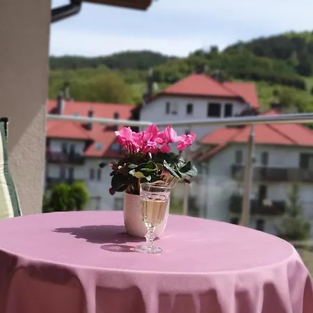 Jaworzyna Apartment