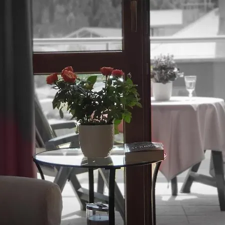Jaworzyna Apartment